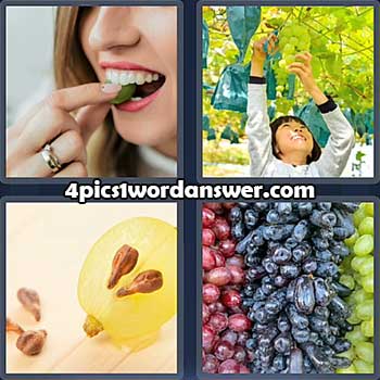 4-pics-1-word-daily-puzzle-april-24-2022