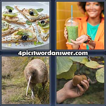 4-pics-1-word-daily-puzzle-april-25-2022