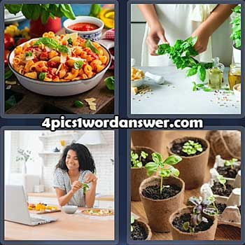 4-pics-1-word-daily-puzzle-april-29-2022
