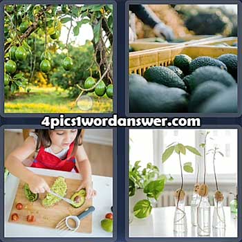 4-pics-1-word-daily-puzzle-april-6-2022