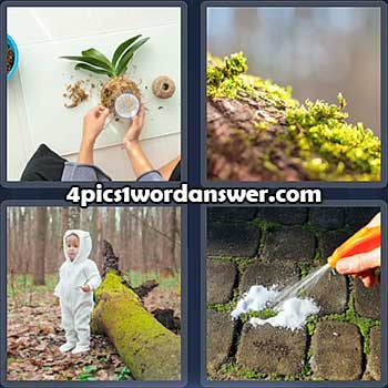 4-pics-1-word-daily-puzzle-april-7-2022