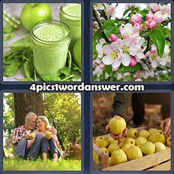 4-pics-1-word-daily-puzzle-april-8-2022