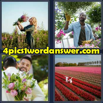 4-pics-1-word-daily-puzzle-july-27-2022