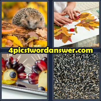 4-pics-1-word-daily-bonus-puzzle-october-1-2022