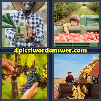 4-pics-1-word-daily-puzzle-october-10-2022