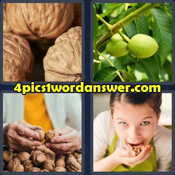 4-pics-1-word-daily-puzzle-october-12-2022