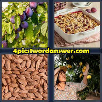 4-pics-1-word-daily-puzzle-october-19-2022