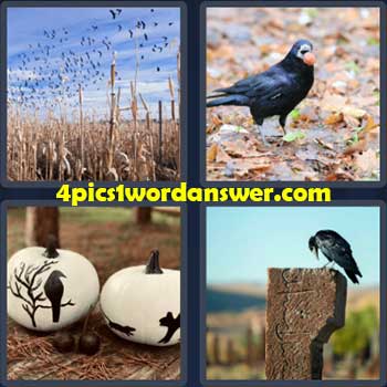 4-pics-1-word-daily-puzzle-october-28-2022