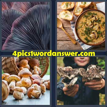 4-pics-1-word-daily-puzzle-october-3-2022