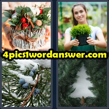 4-pics-1-word-daily-bonus-puzzle-december-21-2022