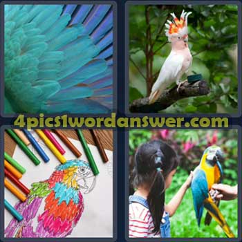 4-pics-1-word-daily-puzzle-march-1-2023
