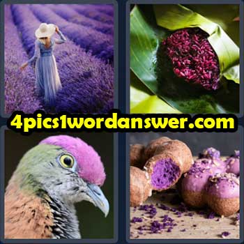 4-pics-1-word-daily-puzzle-march-19-2023