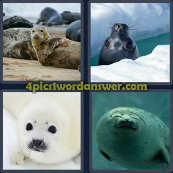 4-pics-1-word-daily-puzzle-april-13-2023