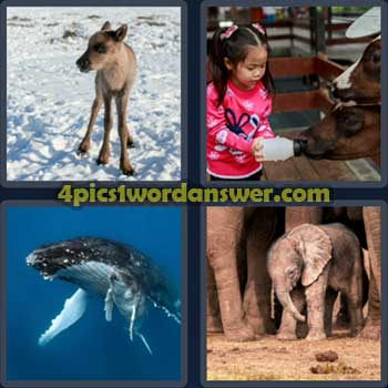 4-pics-1-word-daily-puzzle-april-14-2023