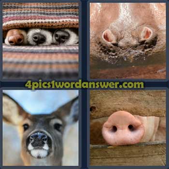 4-pics-1-word-daily-puzzle-april-16-2023