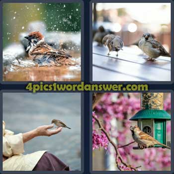 4-pics-1-word-daily-puzzle-april-18-2023