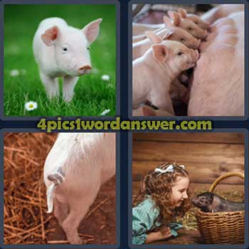 4-pics-1-word-daily-puzzle-april-21-2023
