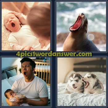 4-pics-1-word-daily-puzzle-april-24-2023
