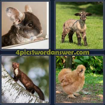 4-pics-1-word-daily-puzzle-april-29-2023