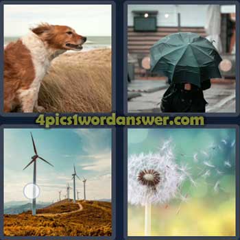 4-pics-1-word-daily-puzzle-may-7-2023