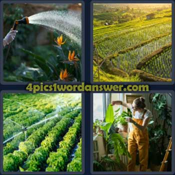 4-pics-1-word-daily-bonus-puzzle-november-27-2023