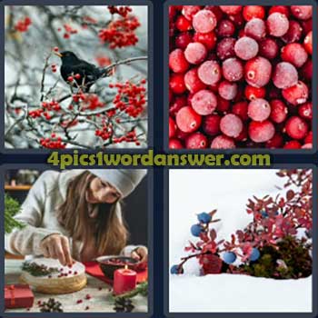 4-pics-1-word-daily-bonus-puzzle-december-17-2023