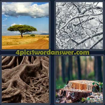 4-pics-1-word-daily-puzzle-january-1-2024