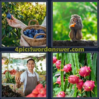 4-pics-1-word-daily-puzzle-january-8-2024