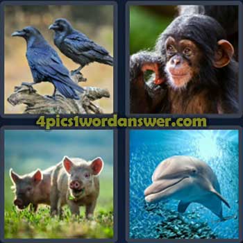 4-pics-1-word-daily-bonus-puzzle-january-23-2024