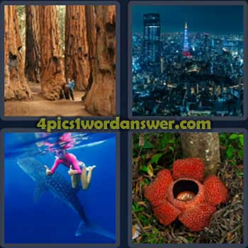 4-pics-1-word-daily-bonus-puzzle-january-28-2024