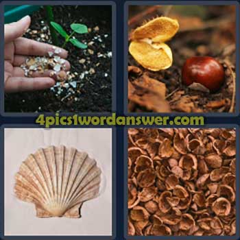 4-pics-1-word-daily-puzzle-january-19-2024