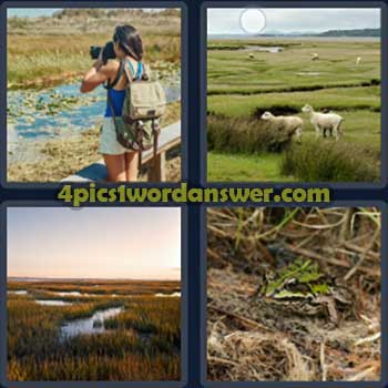 4-pics-1-word-daily-puzzle-january-22-2024