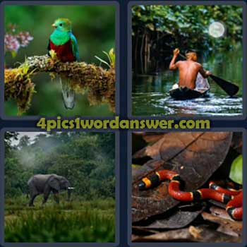 4-pics-1-word-daily-puzzle-january-25-2024