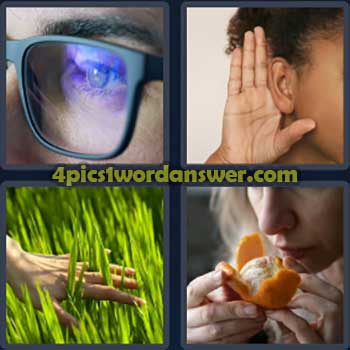 4-pics-1-word-daily-bonus-puzzle-february-17-2024