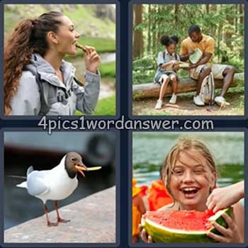 4-pics-1-word-daily-bonus-puzzle-july-14-2024