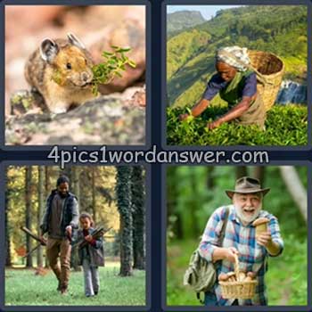 4-pics-1-word-daily-bonus-puzzle-july-15-2024