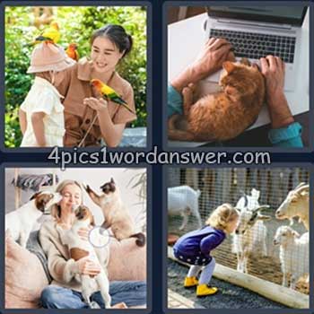 4-pics-1-word-daily-puzzle-february-4-2024