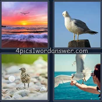 4-pics-1-word-daily-puzzle-july-12-2024