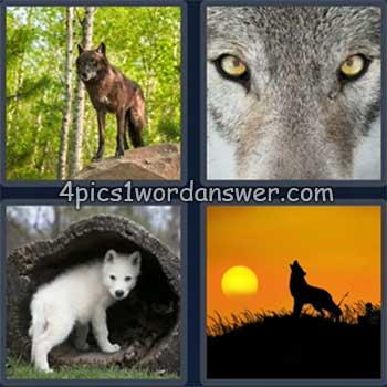 4-pics-1-word-daily-puzzle-july-6-2024