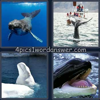 4-pics-1-word-daily-puzzle-july-9-2024