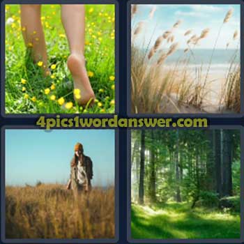 4-pics-1-word-daily-puzzle-march-1-2024