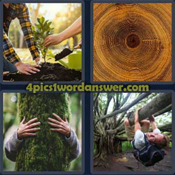 4-pics-1-word-daily-puzzle-march-2-2024
