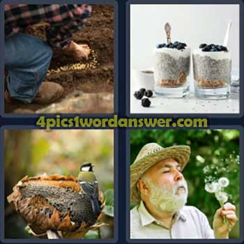 4-pics-1-word-daily-puzzle-march-4-2024