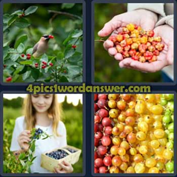 4-pics-1-word-daily-puzzle-march-5-2024