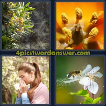 4-pics-1-word-daily-bonus-puzzle-march-13-2024