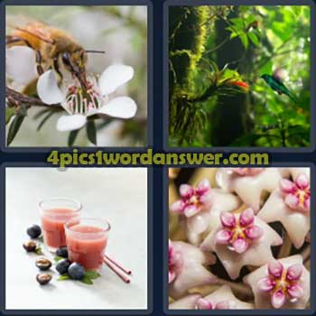 4-pics-1-word-daily-bonus-puzzle-march-16-2024