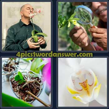 4-pics-1-word-daily-bonus-puzzle-march-8-2024