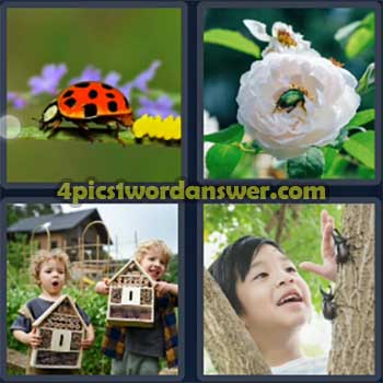 4-pics-1-word-daily-puzzle-march-11-2024
