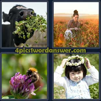 4-pics-1-word-daily-puzzle-march-12-2024