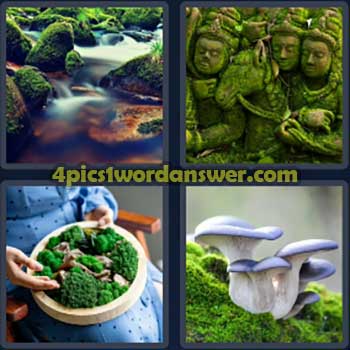 4-pics-1-word-daily-puzzle-march-14-2024